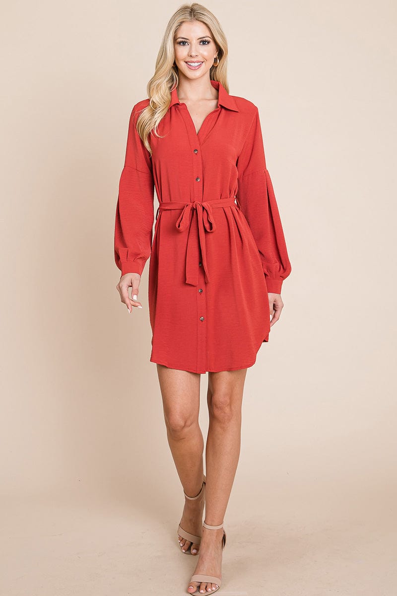 Collared Button Down Tie Belt Shirt Dress